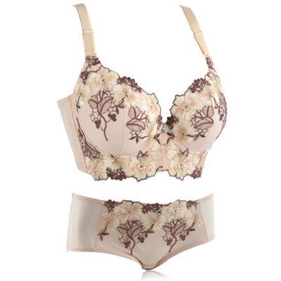 European And American Thin Embroidery Bra Set Girls Push Up Adjustable Underwear With Steel Ring
