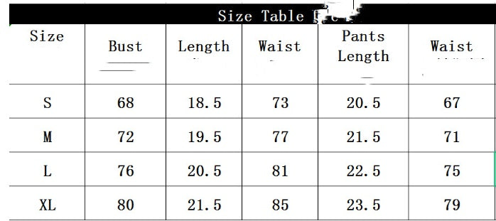 Garter Embroidery Mesh Body Shaping Two-piece Suits