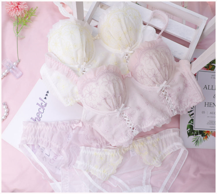 Sweet Ribbon Embroidered Women's Underwear Bra Set