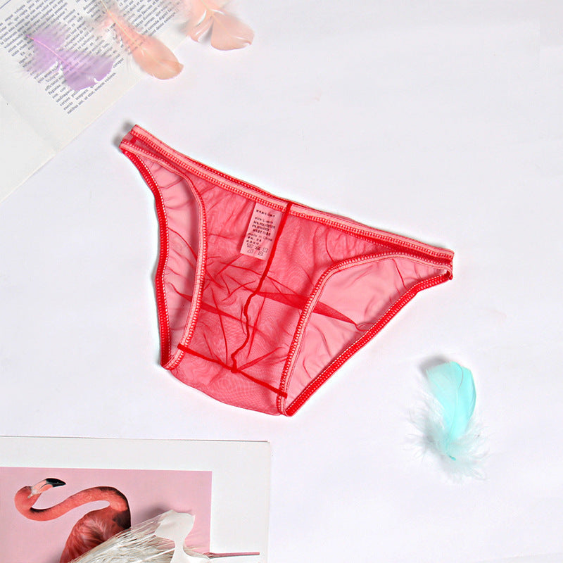 See Through Breathable Sexy Underwear Mesh Ultra-thin Solid Color Men's Briefs