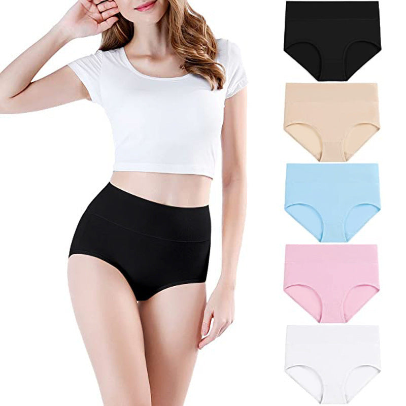 Women's Underwear High Waist Shaping Underwear Plus Size