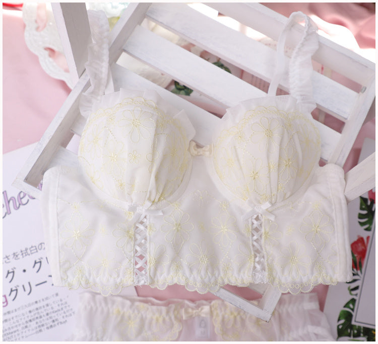 Sweet Ribbon Embroidered Women's Underwear Bra Set