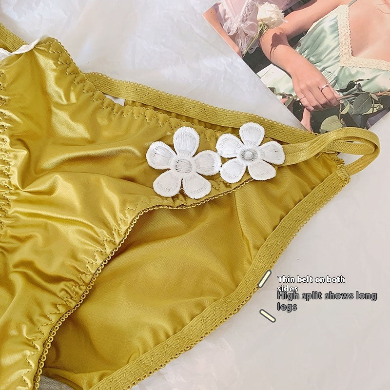 Pure Desire Underwear Women's Silky Embroidered Floral Decorations Low Waist Briefs