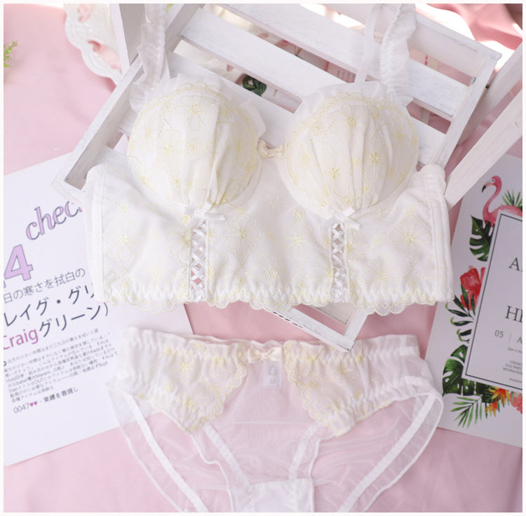 Sweet Ribbon Embroidered Women's Underwear Bra Set