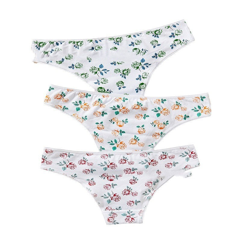 Girl Cotton Underwear Middle School Low Waist Briefs